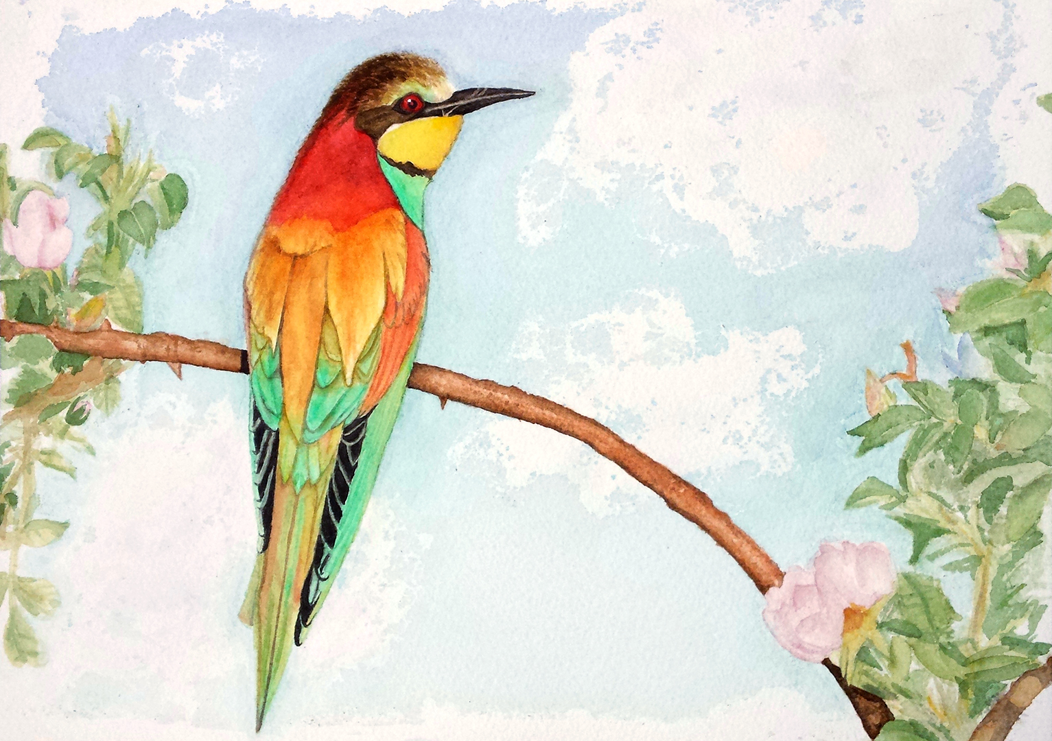 European Bee Eater in Stains and Opaques 2016 09 29